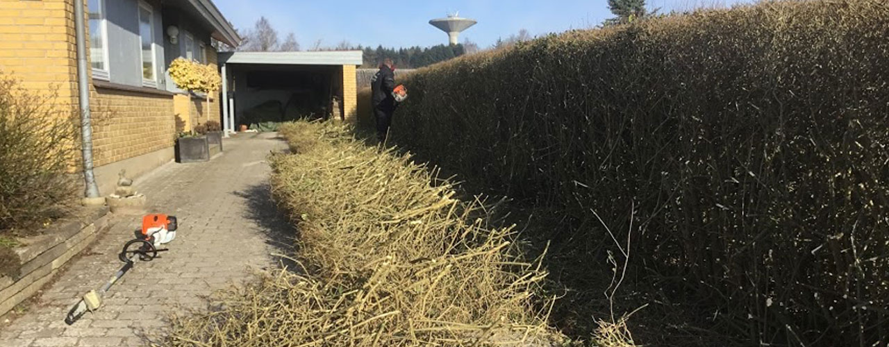 Store eller små ændringer i haven